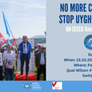 PRESSEMITTEILUNG: UN-Ausschuss überprüft China – Uigurische Delegation reist für Ausstellung, Interviews und Kundgebung nach Genf